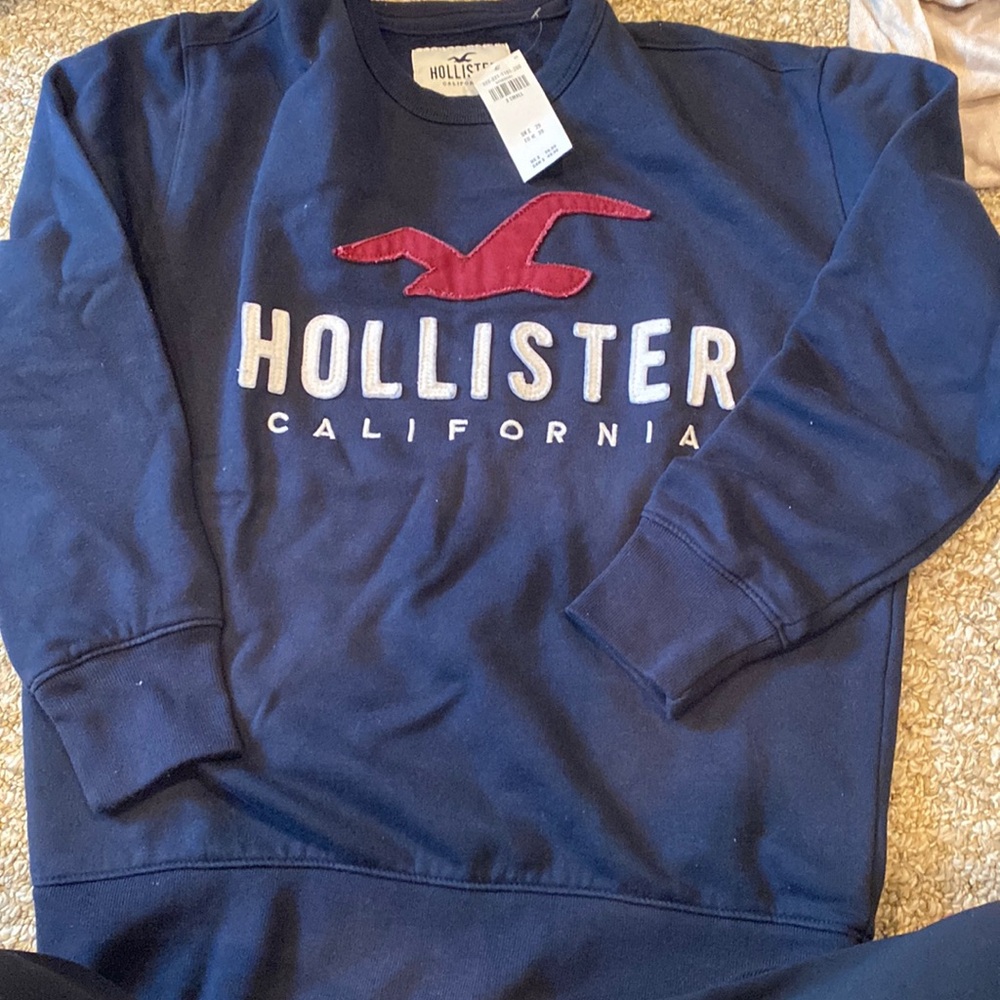 Men’s Hollister sweatshirt brand new with tags